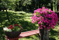 Sākusies vērtēšana konkursam “Posies, Madona!”