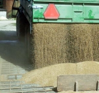 TĒMA: ŠOVASAR – Laba labības raža