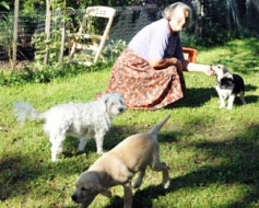 Par dzīvību, uzticēšanos un mīlestību