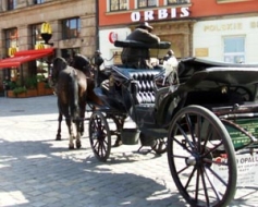 No Čehijas — ar trušiem, vistām un zosīm