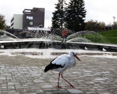 Sezona beidzas līdz ar pirmo sniegu