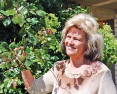 Puķu karalienes — rozes