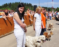 Kad suns top personība
