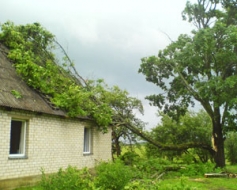 Stiprais vējš skar arī Madonas rajonu