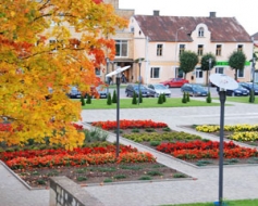 Izrok ziedošus stādījumus
