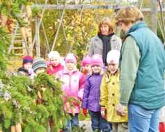 Mamma daba aicina vērot kokus