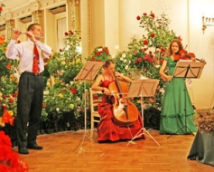Zvaigznes dienu Ērgļos ieskandinās trio “Animando”