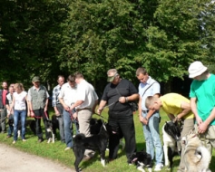 Demonstrē šķirnes medību suņus
