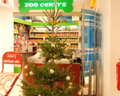 Ne nocirsta, bet izaudzēta eglīte
