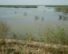 Lubāna ezeru sargās arī turpmāk