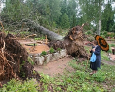 Jāņukalna kapos plosās orkāns