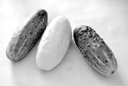Starp zaļajiem — arī baltie gurķi