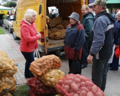 Kartupeļu svētki pārcelti uz 25. septembri