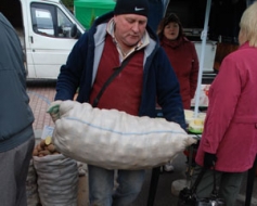 Gatavojas Kartupeļu svētkiem