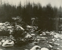 Atmiņas — mana lielākā bagātība