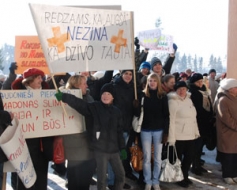Darba grupas viedoklis – pozitīvs, lemšana – politiķu ziņā