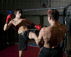 Reitinga cīņas boksā, kikboksā, MMA
