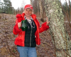 Dzersim bērzu un kļavu sulas!