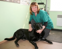 Veterinārārsti popularizē savu profesiju