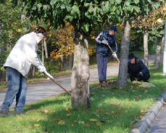 Jau piekto reizi notiks “Tīrības dienas”