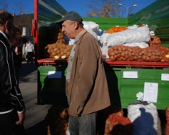 Jo labāka raža, jo zemāka cena