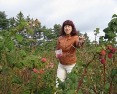 Rudens Kanādā caur svētku prizmu