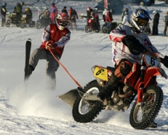 Skijoringa sacensības Madonā