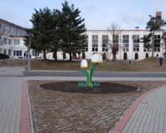 Izmanto pavasara vēstnešu motīvu
