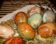 Olu krāsošanā tradīcijas neiznīkst