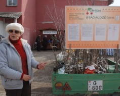 Aprīlī veicamie dārza darbi