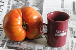 Izaudzis tomāts, kas sver 860 gramu