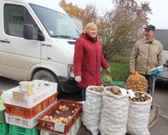 Kartupeļu raža padevusies laba