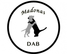 Izvēlas patversmes nosaukumu un logo