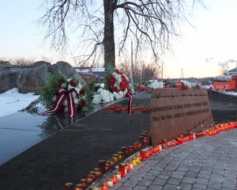 Vēlas tūju apstādījumus