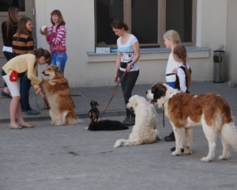 Viesojas interešu izglītības vadītāji