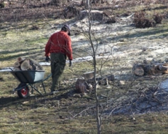 Pagaidu sabiedriskie darbi – pieejamāki