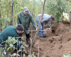 Arheologi strādā izpostītajos senkapos