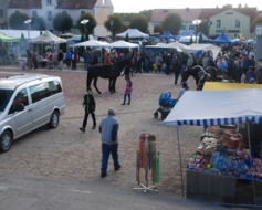 Gatavo uzlabojumus tirgus organizācijā