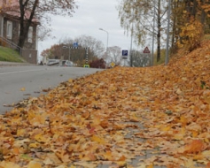 Ja nav sētnieku, jāpērk tehnika