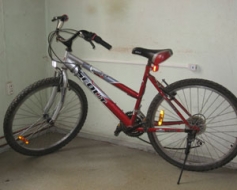 Meklē velosipēda īpašnieku