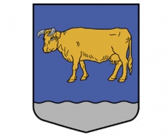 Gribētāju pārvaldīt pagastu netrūkst