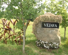 Vējaviešu salidojuma laikā atklāts vietakmens