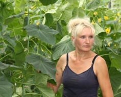 Kad dārzeņu raža ir laba, cenas – zemas