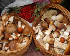 Pieturas pie dabiskā un ekoloģiskā