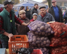 Vai Kartupeļu svētkos būs kartupeļi?