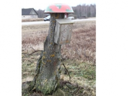 Izskatās kā sēne, bet īstenībā – pastkastīte