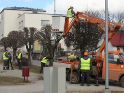 Sākušies pavasara sakopšanas darbi