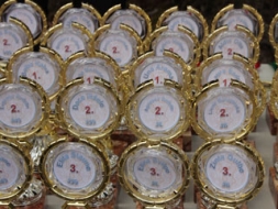 Šodien sākas „Madonas kausi 2015″
