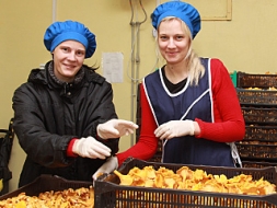 Priecājas par gaileņu un melleņu ražu