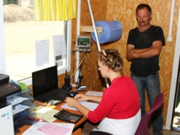 Lieliska raža, komplekss pilns ar graudiem
